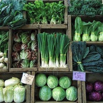 Harvest Medley: Fresh Field Bounty